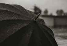 Дожди и грозы ожидаются в Шымкенте и Туркестанской области