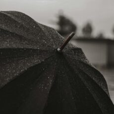 Дожди и грозы ожидаются в Шымкенте и Туркестанской области