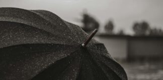 Дожди и грозы ожидаются в Шымкенте и Туркестанской области