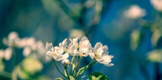 До +30 градусов прогнозируют в Туркестанской области