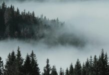 Штормовое предупреждение на 26 марта: туман, гололедица и сильный ветер по Казахстану