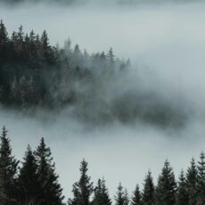 Штормовое предупреждение на 26 марта: туман, гололедица и сильный ветер по Казахстану