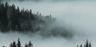 Штормовое предупреждение на 26 марта: туман, гололедица и сильный ветер по Казахстану