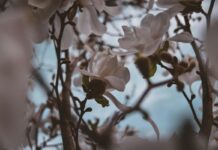 Казгидромет озвучил прогноз погоды на 18 марта