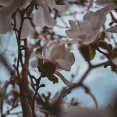 Казгидромет озвучил прогноз погоды на 18 марта