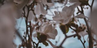 Казгидромет озвучил прогноз погоды на 18 марта