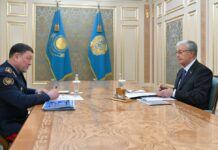 Президент принял министра внутренних дел Ержана Саденова