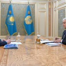 Президент принял министра внутренних дел Ержана Саденова