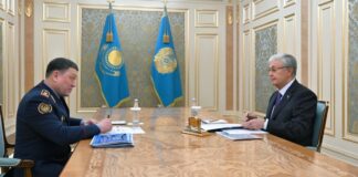 Президент принял министра внутренних дел Ержана Саденова