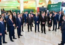 Цифровые технологии Казахстана презентованы главам правительств ЕАЭС в Шымкенте