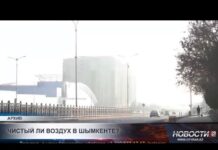 Предприятия Шымкента оштрафованы на миллионы тенге за вред экологии