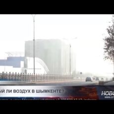 Предприятия Шымкента оштрафованы на миллионы тенге за вред экологии