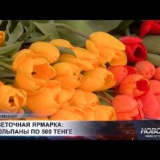 В Шымкенте проходит праздничная цветочная ярмарка