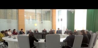 Новую Конституцию обсудили на заседании общественного совета