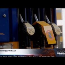 Топливо дорожает в ожидании отмены моратория