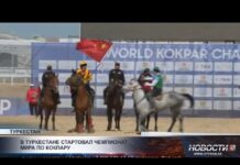 В Туркестане стартовал чемпионат мира по көкпару