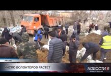 В Шымкенте обсудили развитие волонтёрского движения