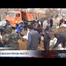 В Шымкенте обсудили развитие волонтёрского движения