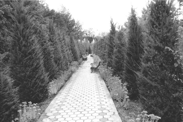 Санаторий Манкент