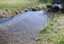 В Шымкенте очистили родник Бөржар в рамках акции «Мөлдір бұлақ»