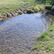 В Шымкенте очистили родник Бөржар в рамках акции «Мөлдір бұлақ»