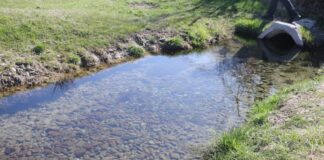 В Шымкенте очистили родник Бөржар в рамках акции «Мөлдір бұлақ»