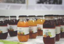 В Казахстане создали функциональные напитки из местного плодоовощного сырья