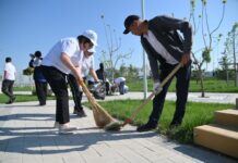Свыше 440 тонн мусора вывезли в ходе акции «Таза қала» в Шымкенте