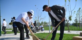 Свыше 440 тонн мусора вывезли в ходе акции «Таза қала» в Шымкенте