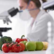 Фитосанитарные инспекторы выявили тысячи нарушений при ввозе продукции