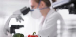 Фитосанитарные инспекторы выявили тысячи нарушений при ввозе продукции