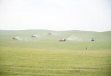 В Туркестанской области усилили борьбу с саранчой