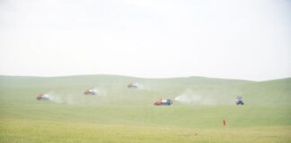 В Туркестанской области усилили борьбу с саранчой