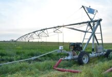 Аграрии Туркестанской области приступили к реализации ранней продукции