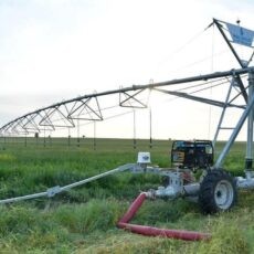 Аграрии Туркестанской области приступили к реализации ранней продукции