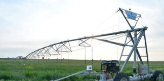 Аграрии Туркестанской области приступили к реализации ранней продукции