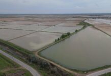 В Туркестанской области на промывку почвы направили 400 млн кубометров воды