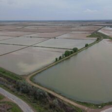 В Туркестанской области на промывку почвы направили 400 млн кубометров воды