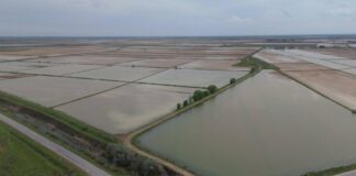 В Туркестанской области на промывку почвы направили 400 млн кубометров воды