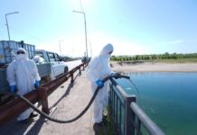 Вдоль реки Сырдарьи проводят дезинсекцию против мошки