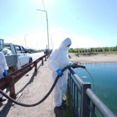 Вдоль реки Сырдарьи проводят дезинсекцию против мошки