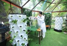 В Шымкенте запустили уникальную экологическую лабораторию