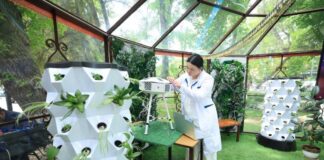 В Шымкенте запустили уникальную экологическую лабораторию