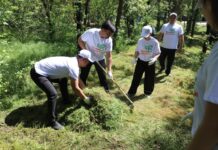 В Шымкенте прошла масштабная экоакция «Таза Қазақстан»