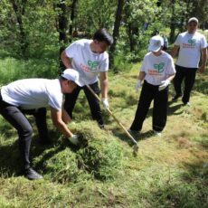 В Шымкенте прошла масштабная экоакция «Таза Қазақстан»