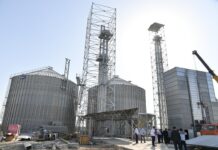 В Туркестанской области строят крупнейший завод глубокой переработки кукурузы