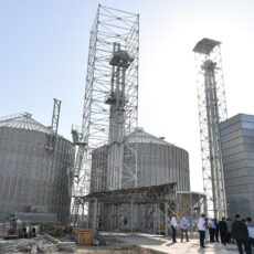 В Туркестанской области строят крупнейший завод глубокой переработки кукурузы
