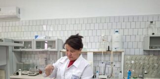 Новая технология кормов поможет снизить затраты в животноводстве