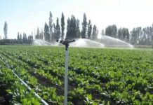 Фермеры Тюлькубасского района переходят на водосберегающие технологии