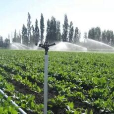 Фермеры Тюлькубасского района переходят на водосберегающие технологии